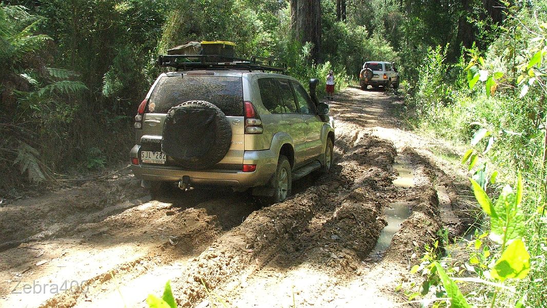 03-Goldie ploughs thru the bog.jpg